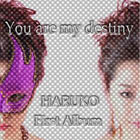 You are my destiny