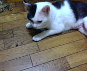 20120817072420.jpg