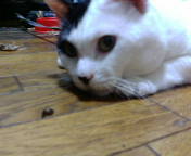 20120817072511.jpg