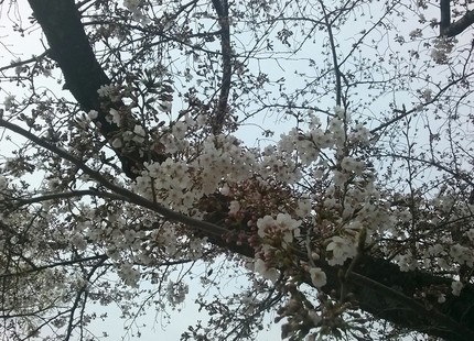 IMG02110-1.jpg