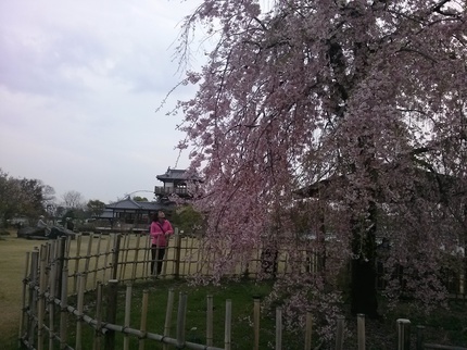 IMG02132.jpg