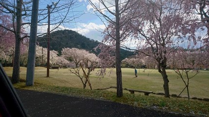 DSC_1015.JPG
