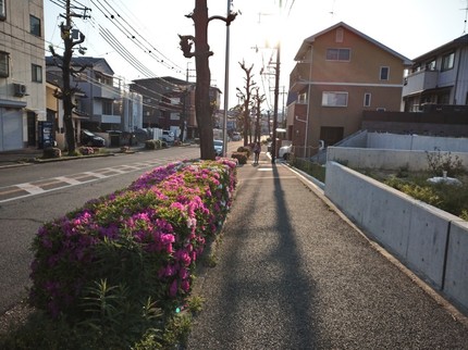 DSC_0877.JPG